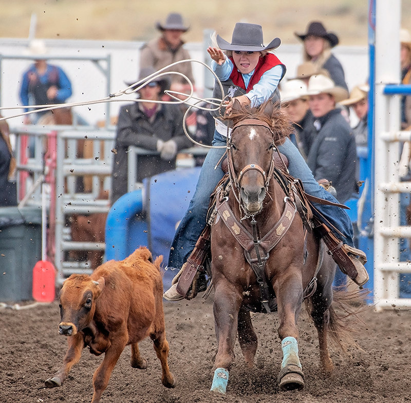 Trapper cowgirl Nicole Groeneveld throws her rope through the mud during the breakaway roping on Friday at the Trapper Stampede.
TRIBUNE PHOTO BY CARLA WENSKY