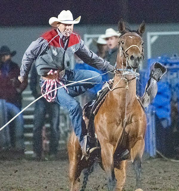 Logan Smith hangs off the side of his horse on his way to finish his tie down roping run. Smith leads the Big Sky Region standings after the first weekend of competition.
TRIBUNE PHOTO BY CARLA WENSKY
